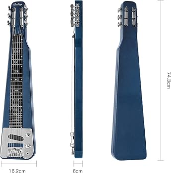 スチールギター 6弦 ブラウン ケース付き スチールギター 6弦 ブラウン ケース付き Amazon.co.jp